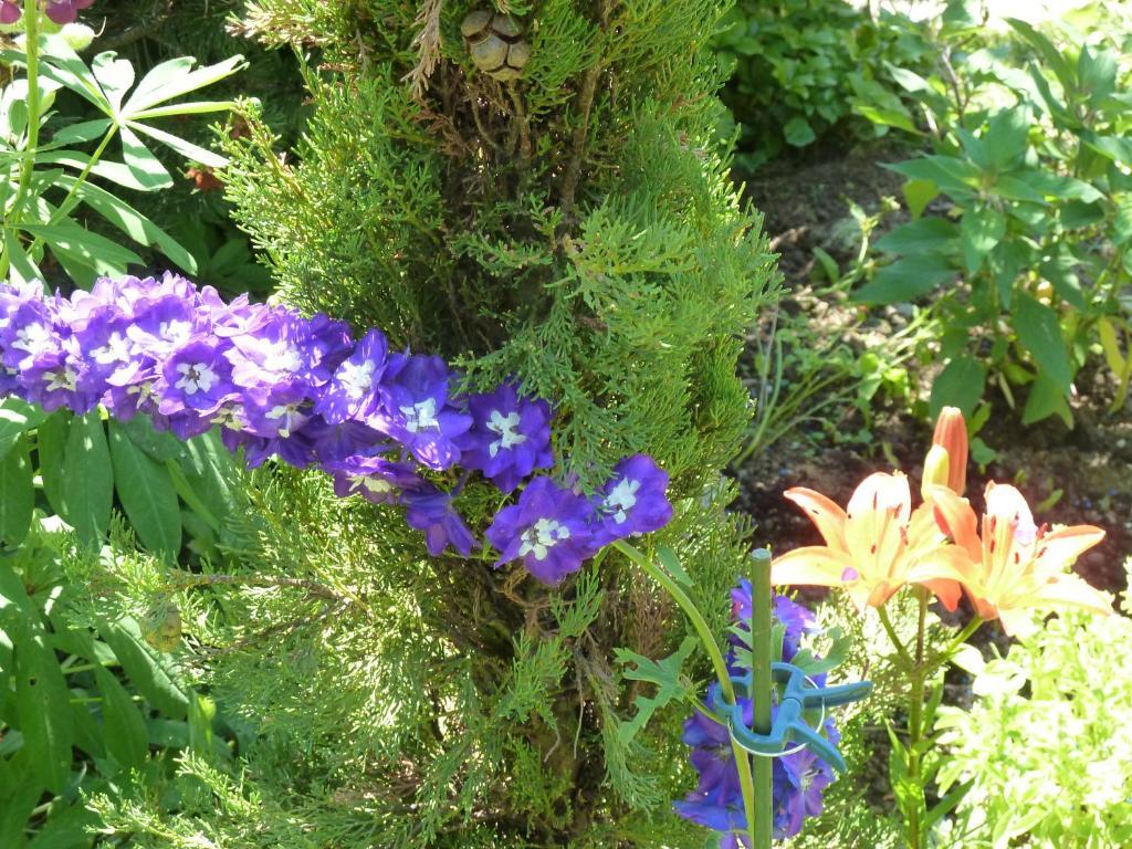 Bed & Breakfast La Val Trin Exterior foto