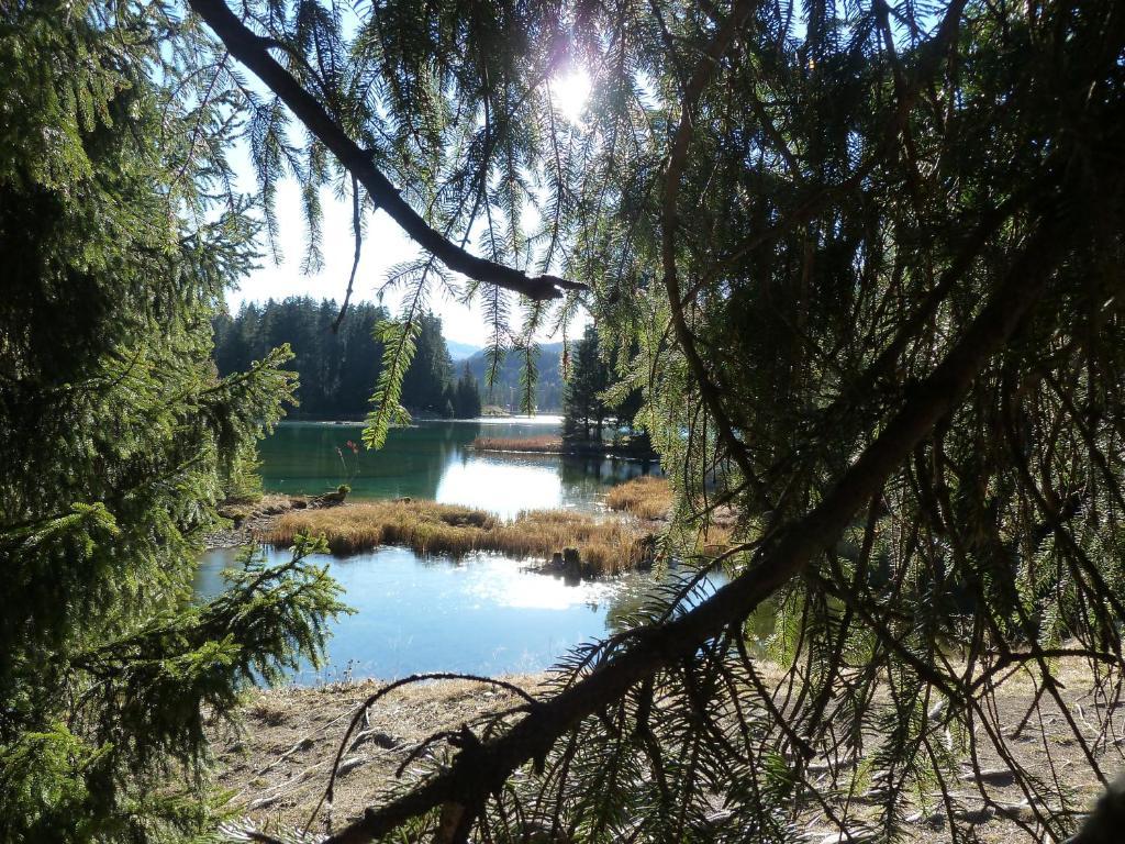 Bed & Breakfast La Val Trin Exterior foto